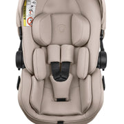 Bugaboo Otter by Nuna Car Seat