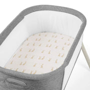 Ickle Bubba 2 Pack Fitted Crib Sheets - Bunnychino