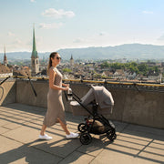 Nuna Triv Next + Pipa Urbn Travel System - Pistachio