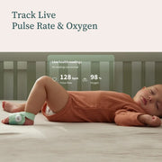 Owlet Owlet Twin Bundle - 2 x Dream Sock + Cam 2 Sets