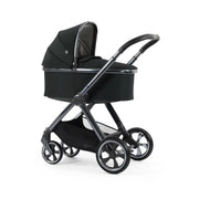 Oyster4 Essential 5-Piece Bundle - Black Olive