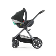 Oyster4 Ultimate 12-Piece Bundle - Black Olive