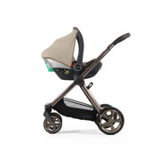 Oyster4 Ultimate 12-Piece Bundle - Buttermilk