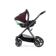 Oyster4 Ultimate 12-Piece Bundle - Mulberry