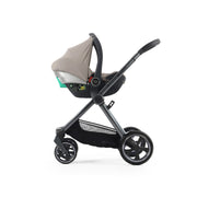 Oyster4 Ultimate 12-Piece Bundle - Stone